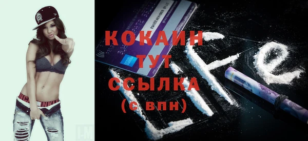 ECSTASY Богородицк