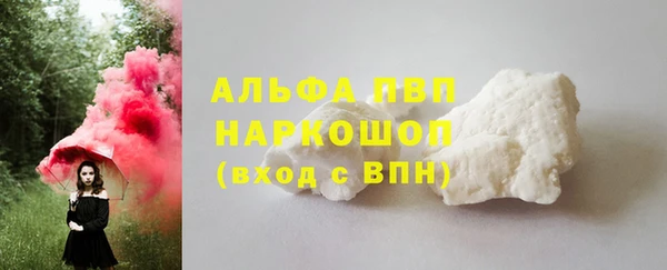 ECSTASY Богородицк