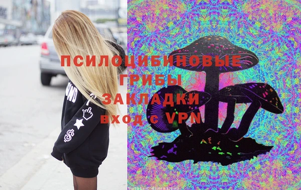 ECSTASY Богородицк