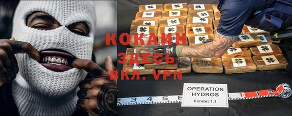 ECSTASY Богородицк
