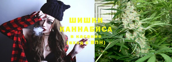 ECSTASY Богородицк