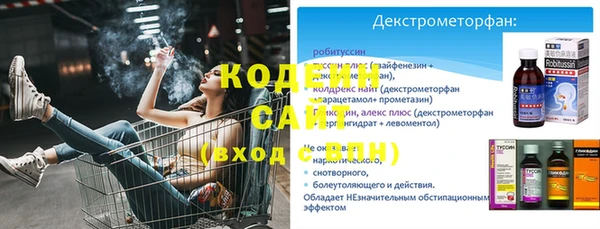 ECSTASY Богородицк