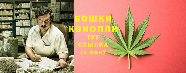 кокаин Богданович