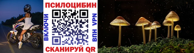 Псилоцибиновые грибы Psilocybine cubensis Переславль-Залесский